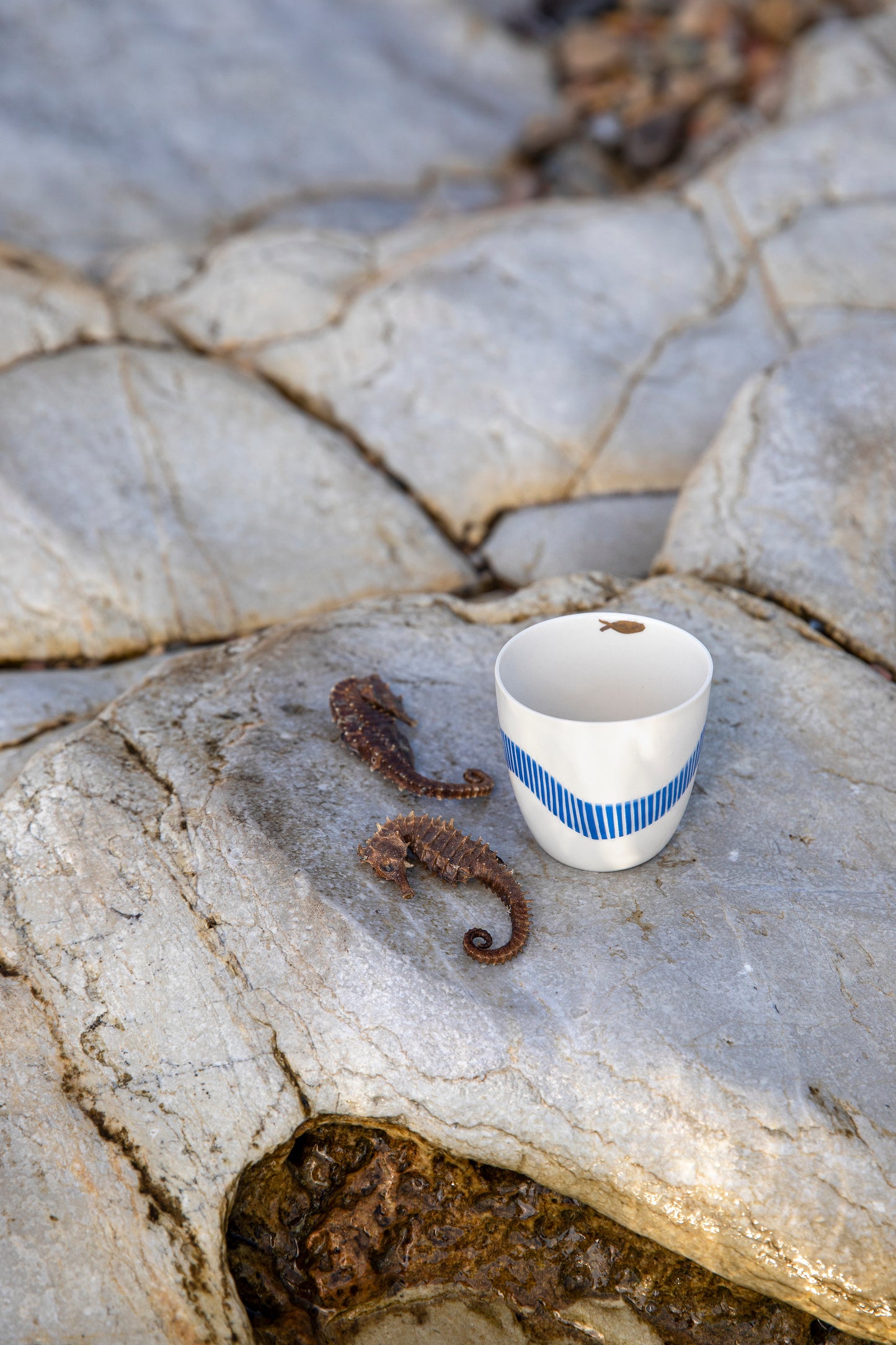 The Wave | Espresso Cup | Without Handle 